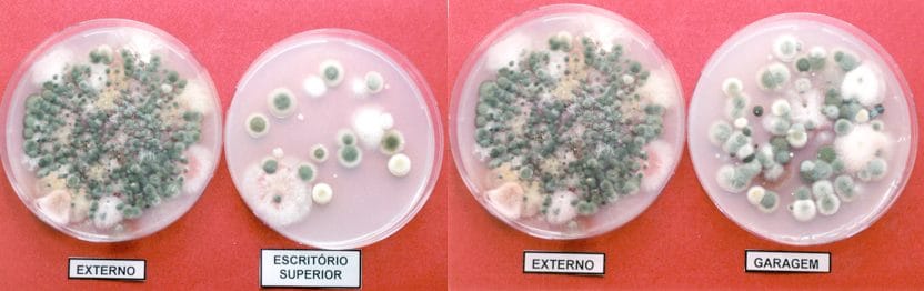 Exemplo de placas de Petri com amostras de ambientes.