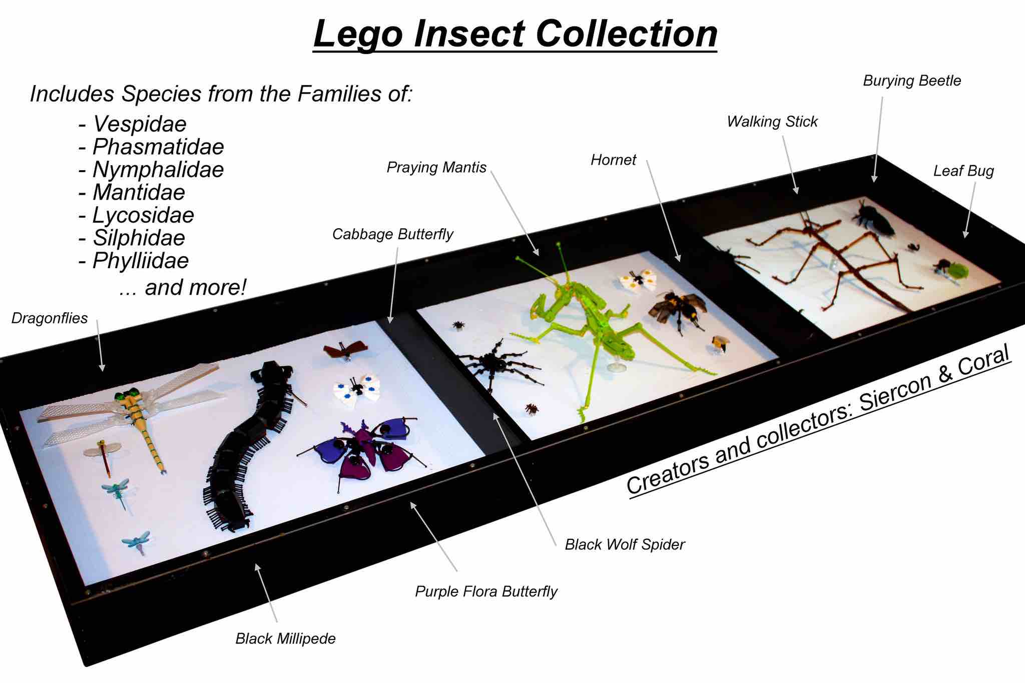 O Que Apaixonados por Entomologia fazem com Lego