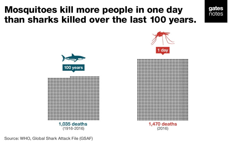 saiba que tem 50 mil vezes mais chances de ser morto por um mosquito do que por um tubarão