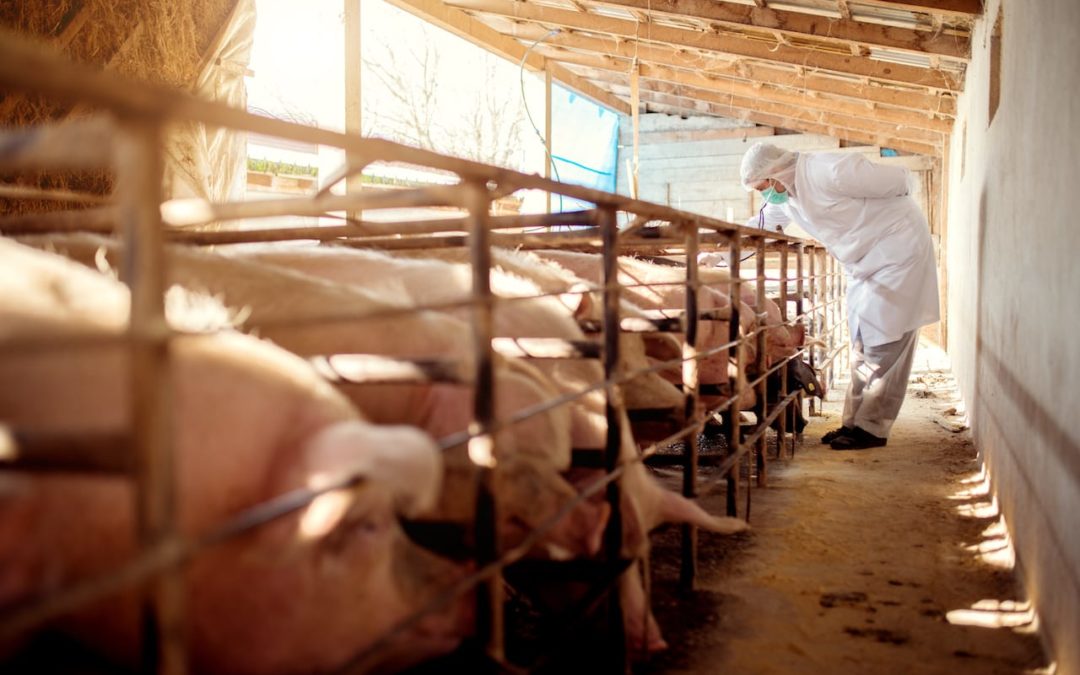 Controle de pragas em granjas de suínos e granjas de aves. Sem dúvida, um dos maiores desafios das indústrias e dos produtores que atuam nestes importantes segmentos de proteína animal.