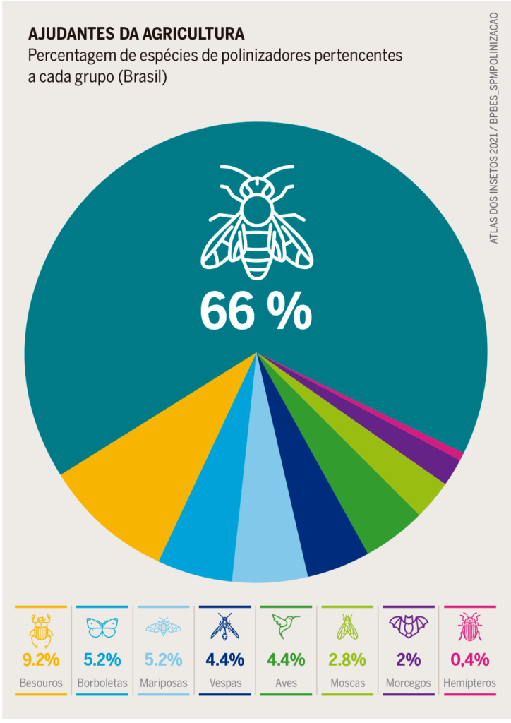 Estima-se que, globalmente, o valor da polinização por insetos gire em torno de US$ 235 bilhões a US$ 577 bilhões por ano.